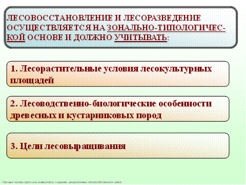 История лесокультурного дела в Беларуси и странах СНГ - student2.ru