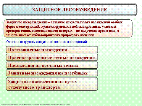 История лесокультурного дела в Беларуси и странах СНГ - student2.ru