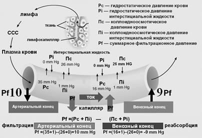 Изоосмоляльная гипергидратация - student2.ru