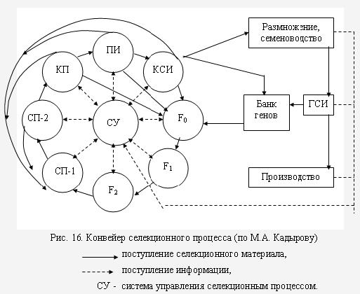 качественные показатели картофеля - student2.ru