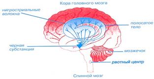 как написать и оформить курсовую работу - student2.ru