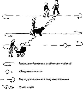 какую собаку можно считать охранной? - student2.ru