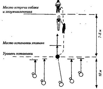 какую собаку можно считать охранной? - student2.ru