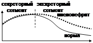 Хронический пиелонефрит: этиология, патогенез, клинические проявления, диагностика, принципы лечения. Медико-социальная экспертиза. Реабилитация. - student2.ru