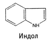 классификация алкалоидов - student2.ru