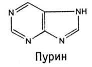 классификация алкалоидов - student2.ru