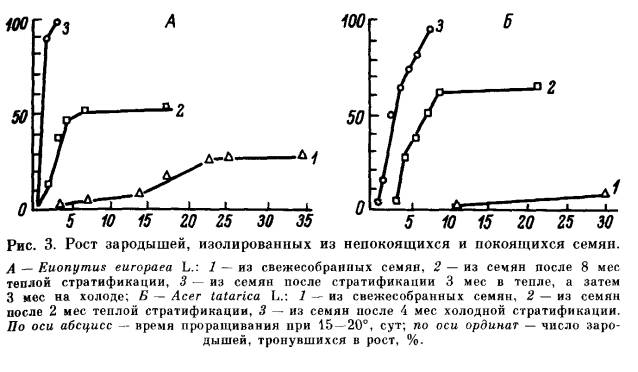 Классификация типов органического покоя семян - student2.ru