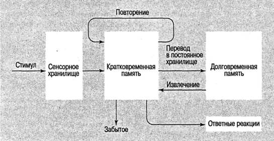 Концептуальная наука и когнитивная психология 43 - student2.ru