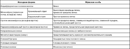 Краткий обзор мужских половых рефлексов. - student2.ru