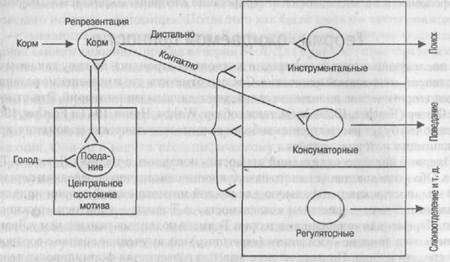 Квазифизиологическая модель мотивации привлекательностью Биндры - student2.ru