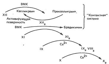 Лекция 18. Биохимия крови. - student2.ru