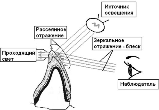 лекция 4 эстетические свойства стоматологических восстановительных материалов - student2.ru