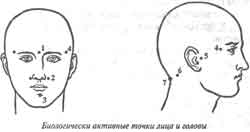 Массаж биологических точек лица и головы - student2.ru