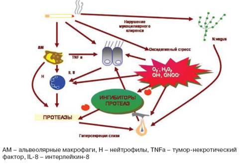Медикаментозная терапия больных с заболеваниями дыхательных путей - student2.ru