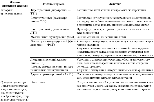 механизм действия гормонов - student2.ru