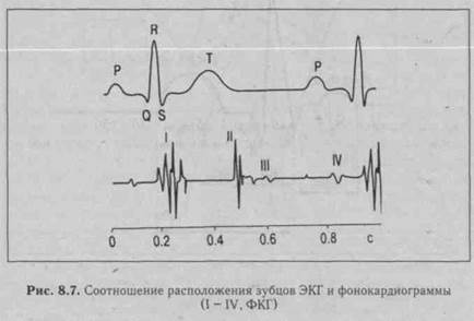 методы исследования деятельности сердца - student2.ru