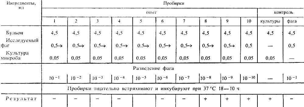 Методы изучения вирулентных фагов - student2.ru