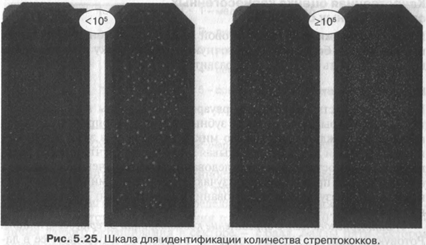 микрофлора ротовой жидкости - student2.ru