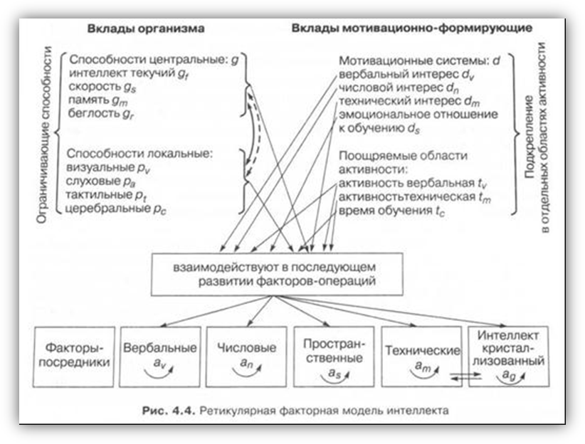 Модель Р.Б. Кеттелла. Теория текучего и кристаллизованного интеллекта. - student2.ru