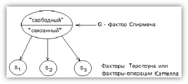 Модель Р.Б. Кеттелла. Теория текучего и кристаллизованного интеллекта. - student2.ru