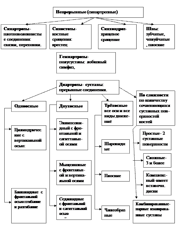 Морфологическая 2.Функциональная - student2.ru