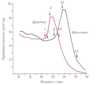 начало подросткового возраста - student2.ru