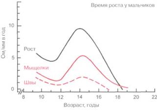 начало подросткового возраста - student2.ru