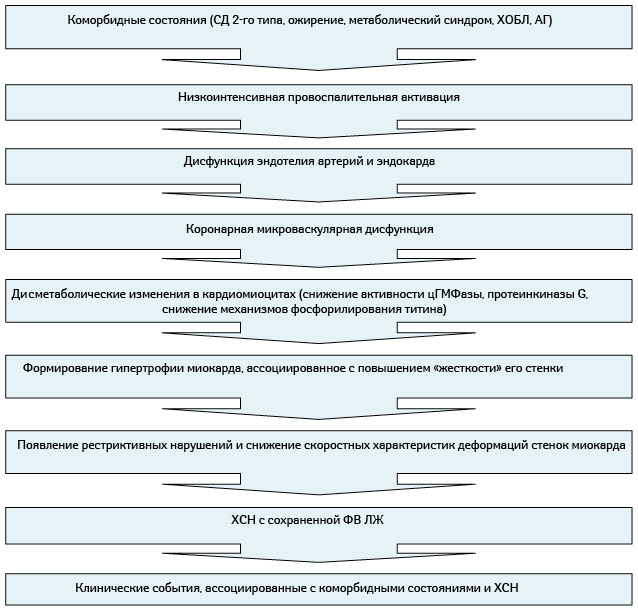Новая парадигма формирования ХСН с сохраненной ФВ ЛЖ - student2.ru