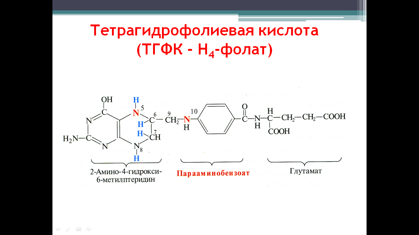 Обмена фенилаланина и тирозина. - student2.ru