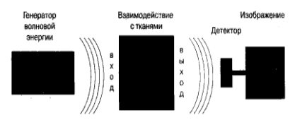 Общие принципы визуализации медицинских изображений - student2.ru