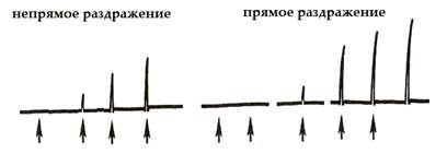 Определение порога возбуждения нервной и мышечной ткани - student2.ru