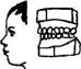 Определение возраста по стертости зубов верхней челюсти (по М. М. Герасимову, 1955) - student2.ru
