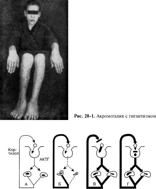 Опухолевые процессы в железах - student2.ru