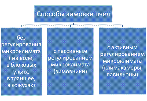 Осенняя ревизия пчелосемей (предварительная сборка гнезд) - student2.ru