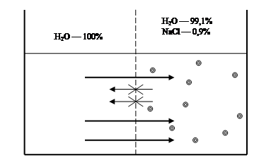 Осмос, осмотическое давление, молярная концентрация - student2.ru