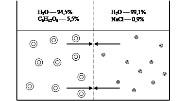 Осмос, осмотическое давление, молярная концентрация - student2.ru