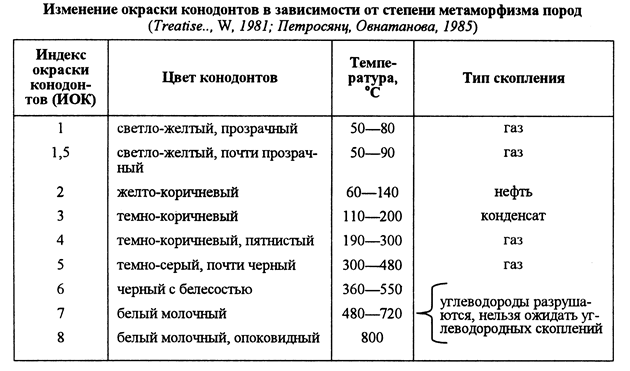 Основные морфологические признаки брахиопод - student2.ru