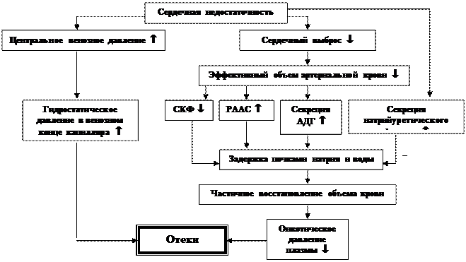 Основные нарушения, обусловливающие формирование отеков и перечень болезней - student2.ru