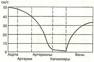 основные законы гемодинамики - student2.ru