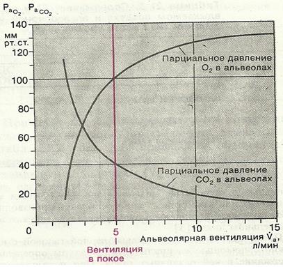 Особенности носового и ротового дыхания - student2.ru