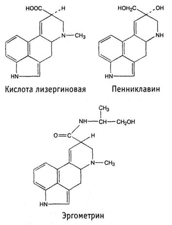 Отдел сумчатые грибы - Ascomycota - student2.ru