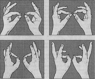 пальчиковые упражнения для малышей - student2.ru