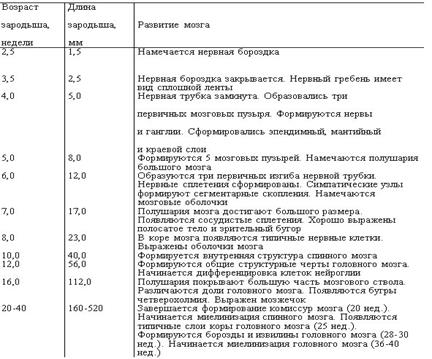 Полость рта. Строение языка. Возрастные особенности - student2.ru