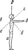 Положения и движения руками и ногами - student2.ru