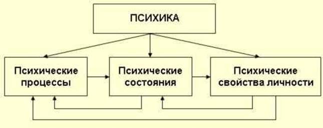 Понятие «Психика», ее особенности и механизмы - student2.ru