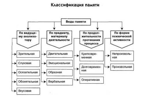 Понятие психики и психических явлений, виды психических явлений - student2.ru