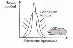 Популяционные волны также определяют направленность эволюционных процессов. - student2.ru