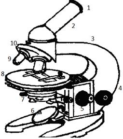 порядок работы с микроскопом - student2.ru