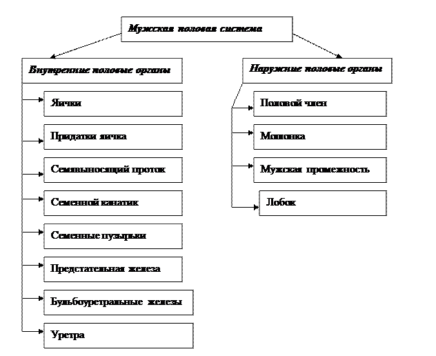 Практическое занятие № 9-2 - student2.ru