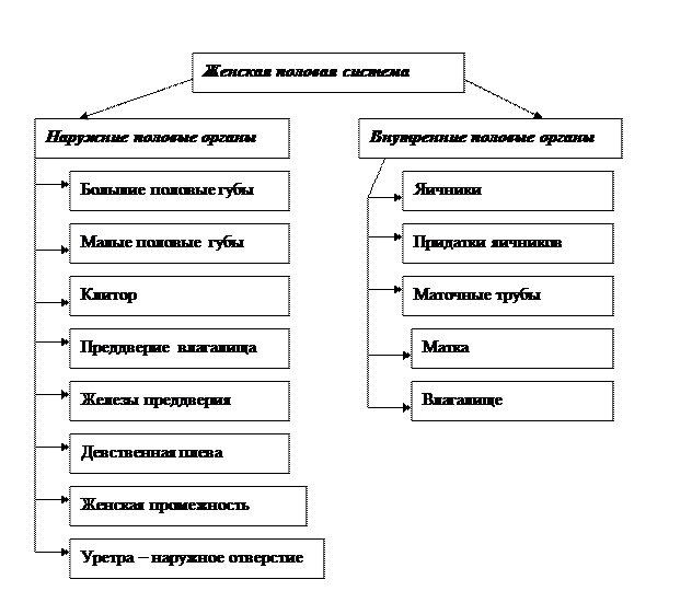 Практическое занятие № 9-2 - student2.ru